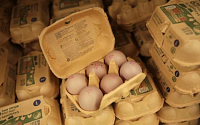 미 달걀값 1개월 새 85% 폭등, 그 이유는?…최악의 AI 탓