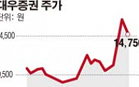 [단독] 매각 앞둔 대우증권 2년만에 희망퇴직 실시