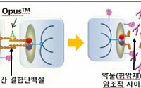 삼양바이오팜, 美 컴플리먼트 '종양 침투촉진 기술' 도입