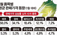 [간추린 뉴스] 소비자물가 0%라는데… 밥상물가 왜 이러나