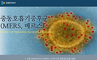 새누리당, ‘메르스’ 무서운 말… ‘우리말’ 이름으로 바꾸자?