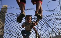 [포토] 철조망 넘어 시리아 탈출하는 난민들