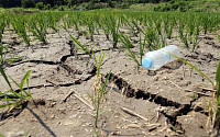 [SNS에선] 42년만에 최악의 가뭄… &quot;가뭄 예방한다던 4대강 효과는...&quot;