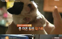 '리얼스토리 눈' 서울 서대문구 개부잣집, 부부와 함께 사는 45마리의 동물들