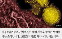 [짤막카드] 미-중 연구팀 메르스 새 항체 발견…치료제 개발되나