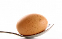 메르스 예방 위해 계란으로 단백질 보충하세요