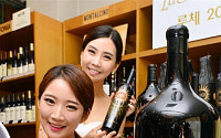 [포토] 신동와인, 초대형사이즈 '루체' 와인 출시