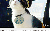 [짤막카드] '고양이 역장' 다마의 장례식 &quot;다마는 천국행 열차에 탑승했습니다&quot;