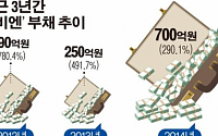 [그룹 지배구조 대해부]정대현 삼남매 100% ‘네비엔’…콘크리트 들이부어도 부채구멍 여전