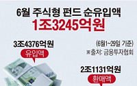 [데이터뉴스] 6월 국내 주식형펀드로 1조3000억원 유입