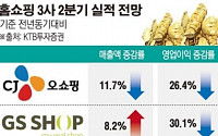 가짜 백수오·메르스에… TV홈쇼핑 “惡”