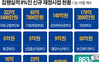 [단독]“예산 따내고 보자” 작년 신규 재정사업 43개 실적 ‘0%’