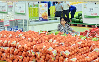 [포토] 양파 공급부족, 가격폭등 우려...'심각경보'