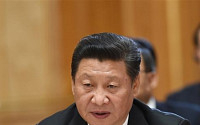 요동치는 중국증시, 시진핑에도 ‘불똥’…흔들리는 리더십