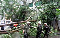 태풍 ‘찬홈’에 중국도 피해…이재민 191만명ㆍ 1조원 경제손실