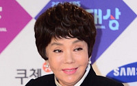 김수미 선언 “모든 연예활동 중단”…인터넷 악성 댓글 어땠길래