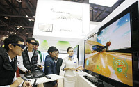 2010년 3D TV시장 본격 성장 전망 