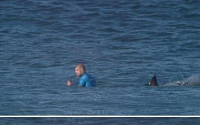 [오늘의 미국화제] 상어 공격에서 살아난 호주 서퍼·데미 무어 자택 수영장에서 20대 남성 익사한 채 발견