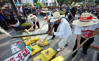 농민단체 “밥상용 쌀 수입 철회해야” 새누리당 항의 방문