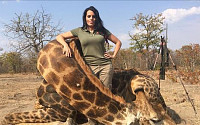 [짤막잇슈] 사자에 이어 이번엔 '기린'... 야생동물 트로피 사냥 논란 재점화