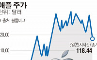 애플도 ‘차이나 쇼크’...중국 점유율 3위 추락·조정 국면 진입
