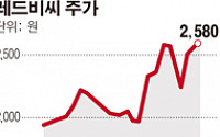 레드비씨, 상장 원년 최대 실적 달성… 영업익 전년比 72.2%↑