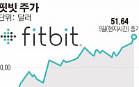 제임스 박 ‘핏빗’ 성공은 거품이었나…깜짝 실적에도 한때 주가 ‘12% 폭락’