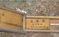 북한 DMZ 도발에 사용된 목함지뢰란? 옛 소련 개발 대인지뢰, 살상반경 2m