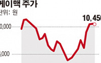 [SP] 에이치비콥, FPD 사업 강화 위해 케이맥 지분 인수