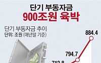 [데이터뉴스]투자처 못 찾은 단기 부동자금 900조 육박