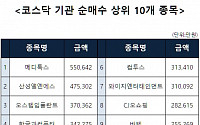 [코스닥 기관 순매수 상위 10개 종목]