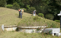 “묘지 관리 도와드립니다”…산림조합 묘지관리 대행서비스 호응
