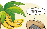 [온라인 와글와글] 청주 도로변에 열린 바나나…중부까지 아열대?