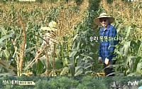 '삼시세끼' 이선균 &quot;나는 무식하게 일 안해&quot; 발언 후 실수…허당 면모 '물씬'