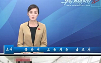 [포토] &quot;남한 비행기표 가격 10배 이상 올랐다?&quot;... 북한 황당한 선전공세