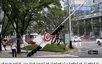 [짤막카드] 태풍 15호 '고니' 경로… 항공편 결항까지 '비상'