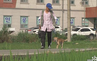 'TV동물농장' 불타버린 집 떠돌던 똘이, 주인과 감동 재회 '눈물'