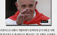 [짤막카드] 교황 “낙태 여성 용서합니다”… 12월부터 1년간만 사면