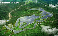 에스에너지, 도조 프로젝트 상업운전 개시…日 태양광 시장 확대 기대
