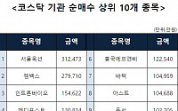 [코스닥 기관 순매수 상위 10개 종목]