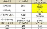 [2015 국감] 보험권 주택담보대출 최근 5년간 67% 증가