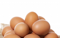 영양만점에 가격까지 저렴한 완전식품 ‘계란’으로 건강 챙긴다