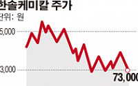 조동혁 한솔케미칼 명예회장 독자경영 체제 다지나