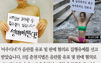 [카드뉴스] '남친과 성관계 동영상' 유포ㆍ판매한 '아우디녀'에 집행유예
