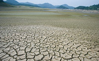[키워드로 보는 경제 톡] 사상 최악의 가뭄 속에서 돈을 번다?!