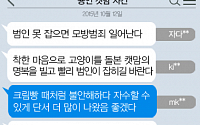 [니톡내톡] ‘용인 캣맘’ 사건 공개 수배… “블랙박스 총동원해라” “범인은 자수하라”