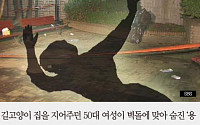 [카드뉴스] 캣맘 사망 사건, 벽돌 DNA 감정 결과는?