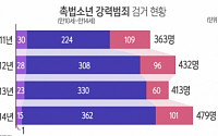 캣맘 사망사건 초등학생 용의자는 '촉법소년'…촉법이란?