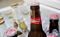 “합병 결렬되면…” 일본 맥주업계, AB인베브-사브밀러 빅딜 놓고 ‘군침’