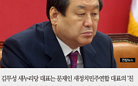 [카드뉴스] 김무성 “문재인 인신 공격성 발언… 저질 정치 공세 국민 받아들이지 않을 것”